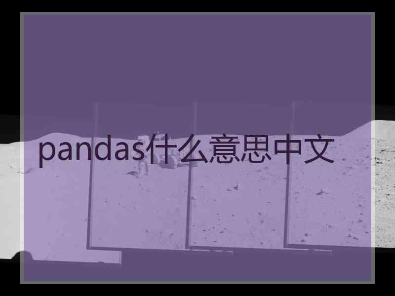 pandas什么意思中文