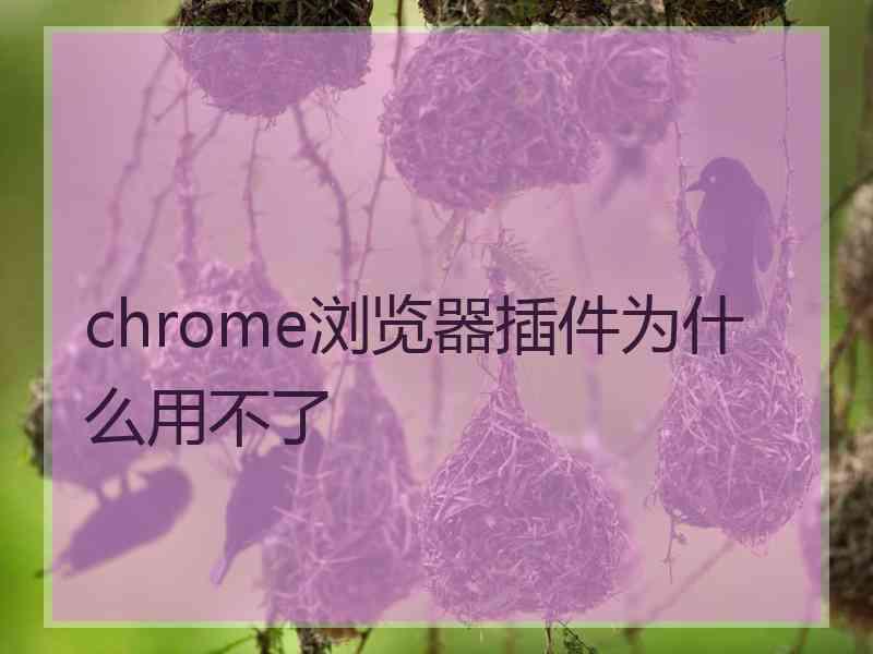 chrome浏览器插件为什么用不了