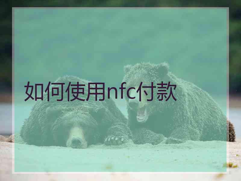 如何使用nfc付款