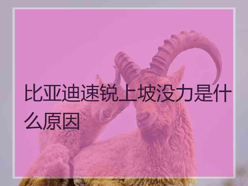 比亚迪速锐上坡没力是什么原因