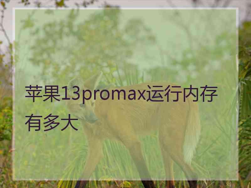 苹果13promax运行内存有多大