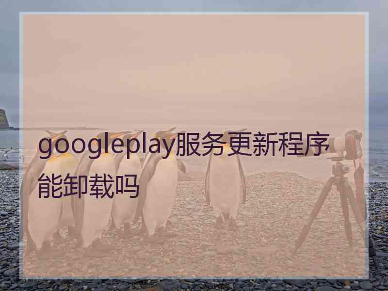 googleplay服务更新程序能卸载吗