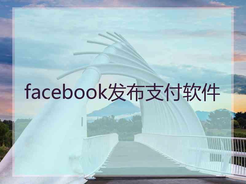 facebook发布支付软件