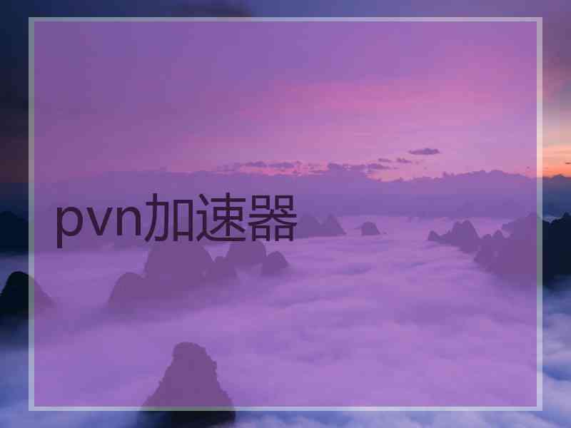 pvn加速器