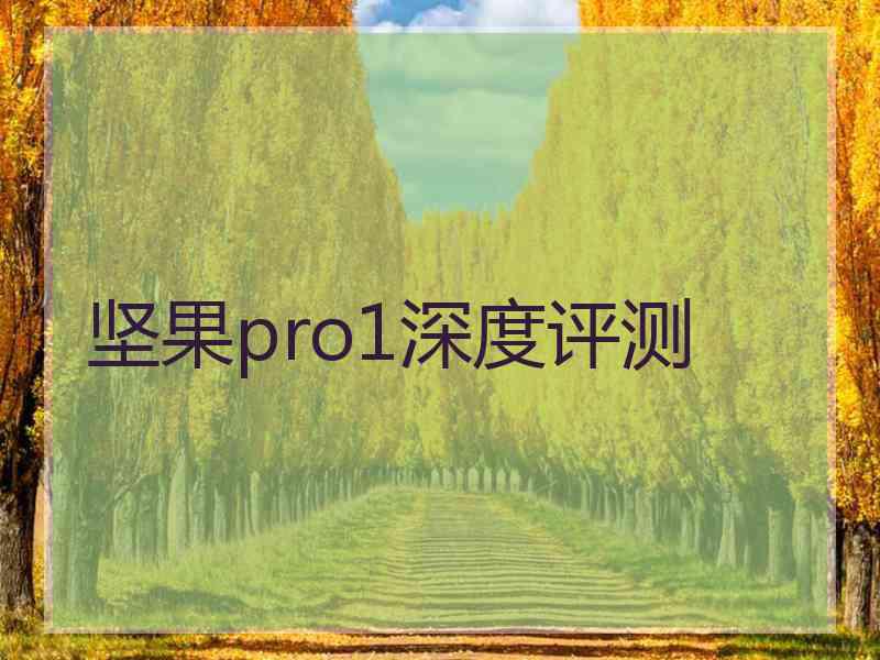 坚果pro1深度评测