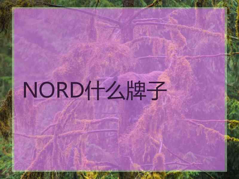 NORD什么牌子