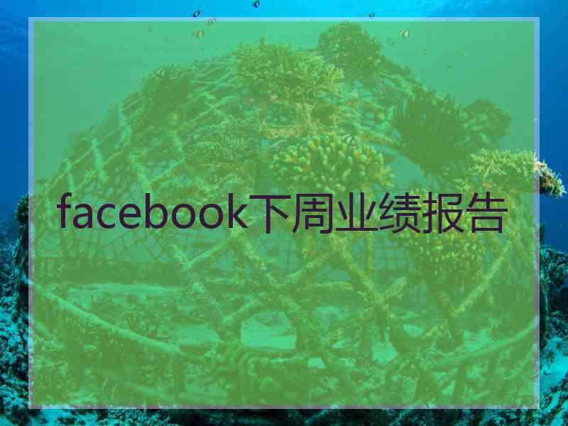 facebook下周业绩报告