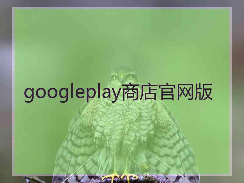 googleplay商店官网版