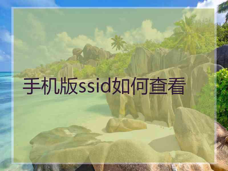 手机版ssid如何查看