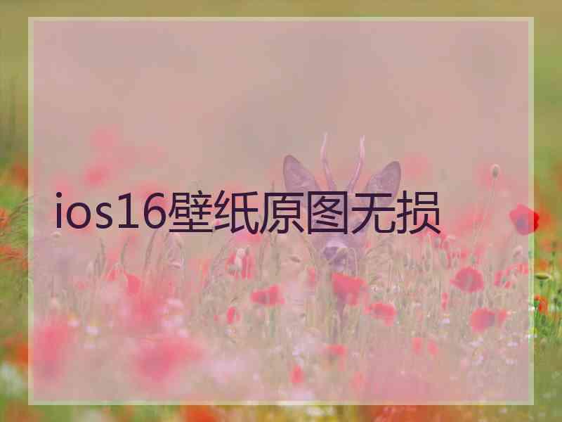 ios16壁纸原图无损