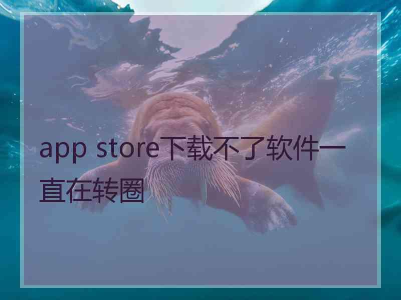 app store下载不了软件一直在转圈