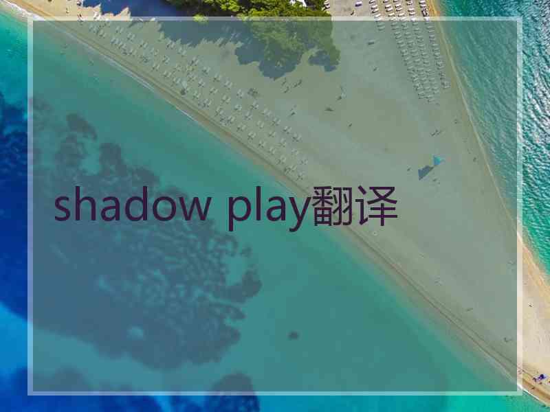 shadow play翻译