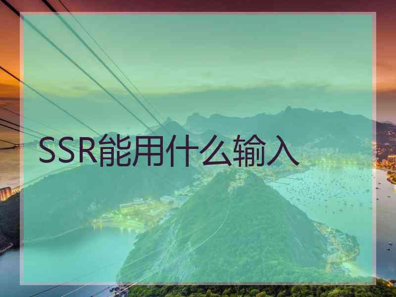 SSR能用什么输入