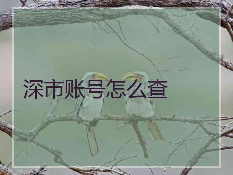 深市账号怎么查