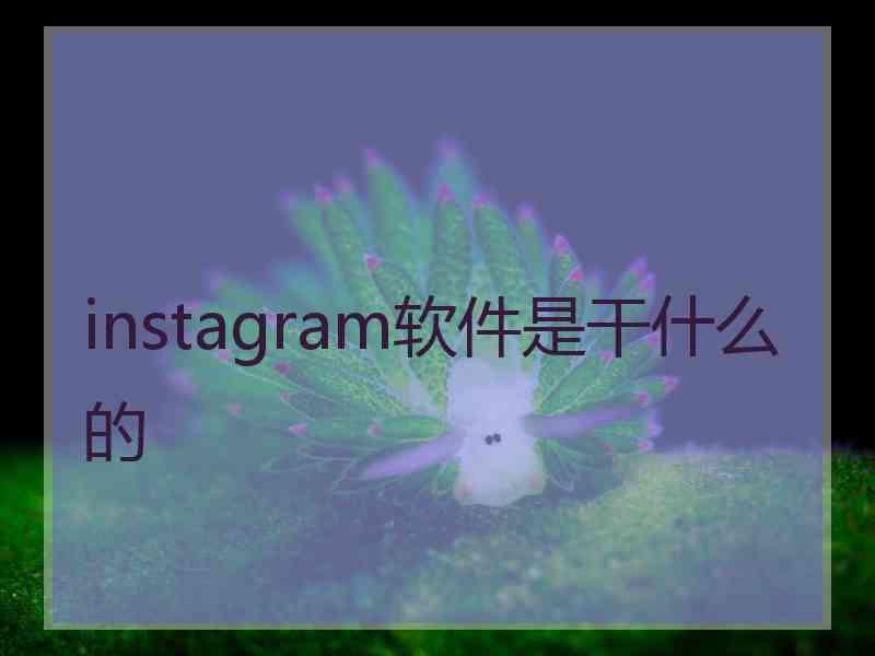 instagram软件是干什么的