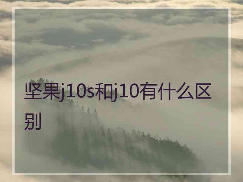 坚果j10s和j10有什么区别