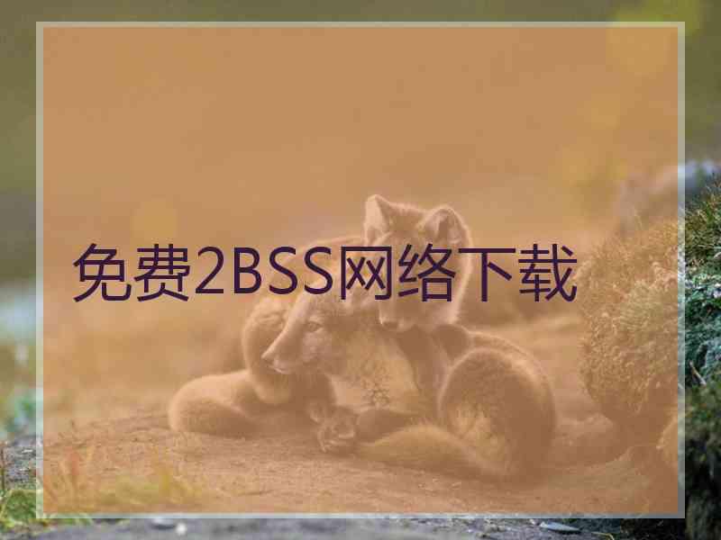 免费2BSS网络下载