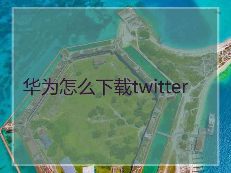 华为怎么下载twitter