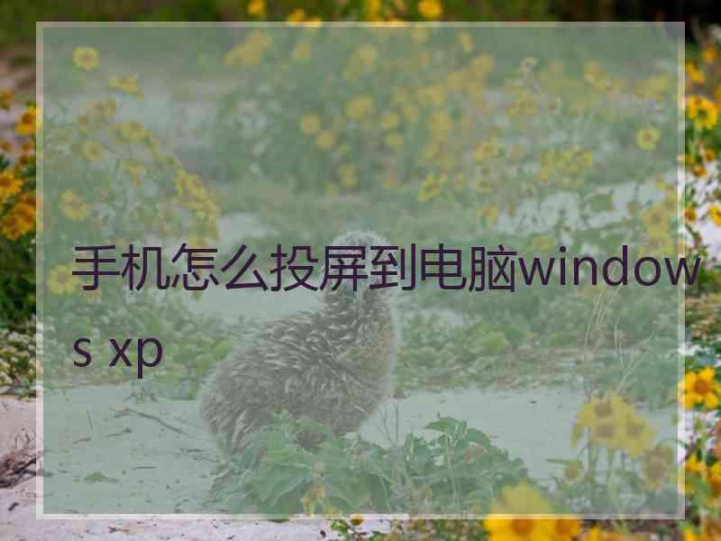 手机怎么投屏到电脑windows xp