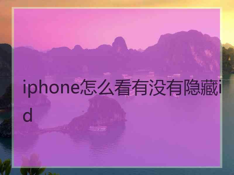 iphone怎么看有没有隐藏id