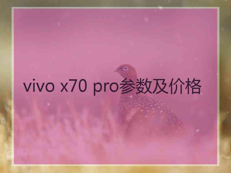 vivo x70 pro参数及价格