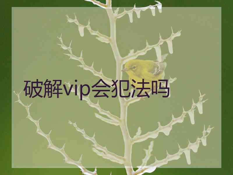 破解vip会犯法吗