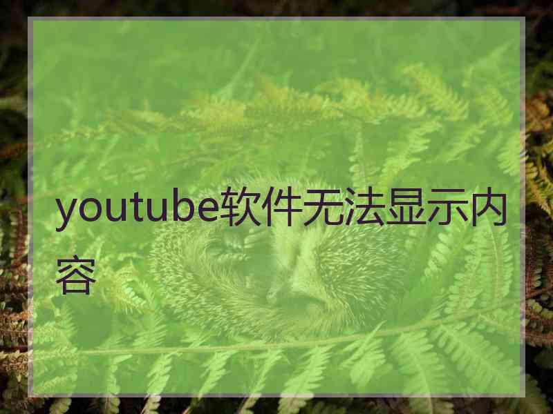 youtube软件无法显示内容