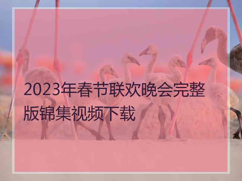 2023年春节联欢晚会完整版锦集视频下载