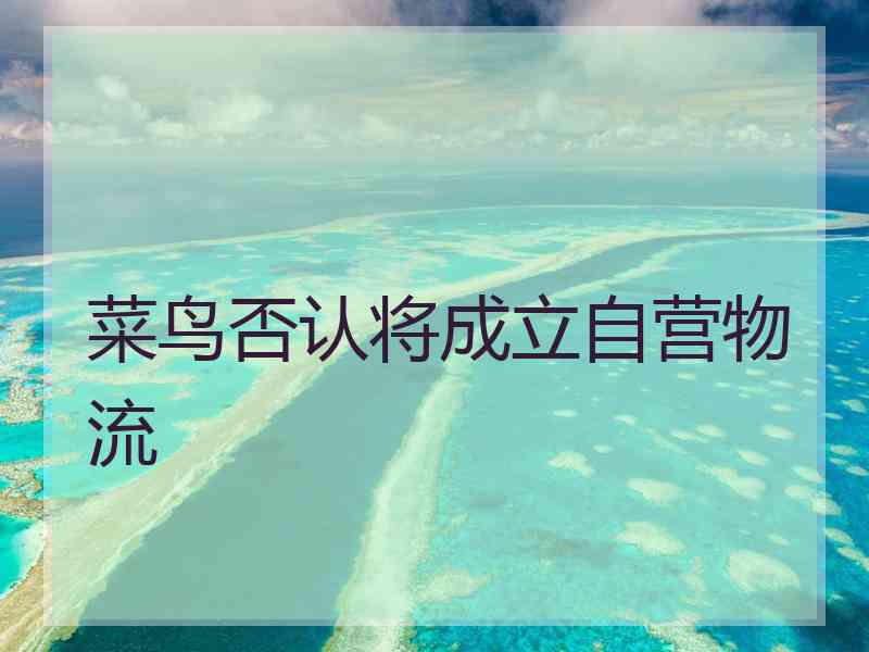 菜鸟否认将成立自营物流