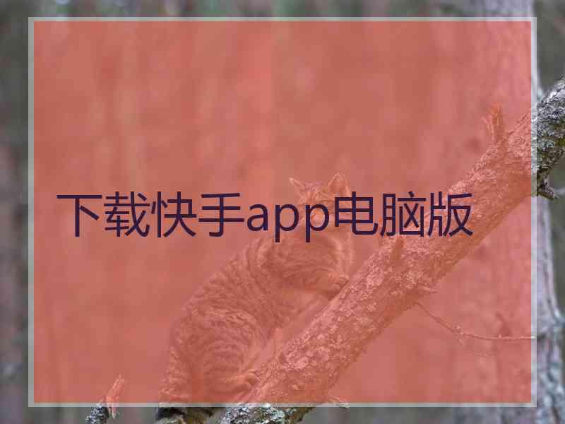 下载快手app电脑版