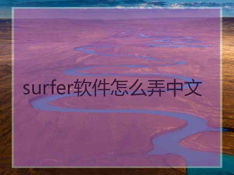 surfer软件怎么弄中文