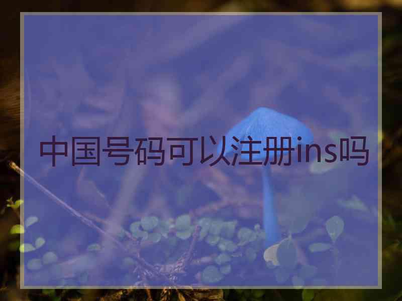 中国号码可以注册ins吗