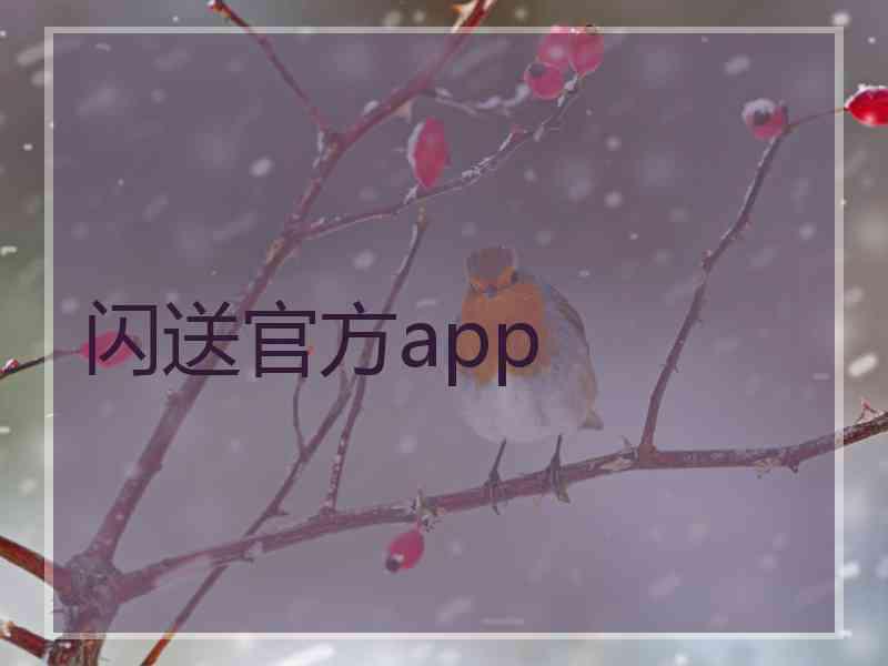 闪送官方app