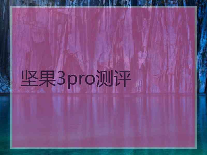 坚果3pro测评