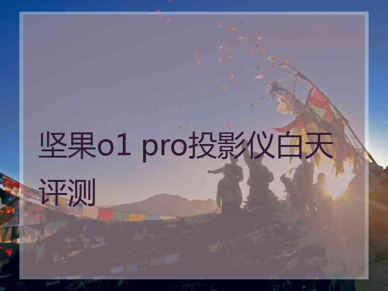 坚果o1 pro投影仪白天评测