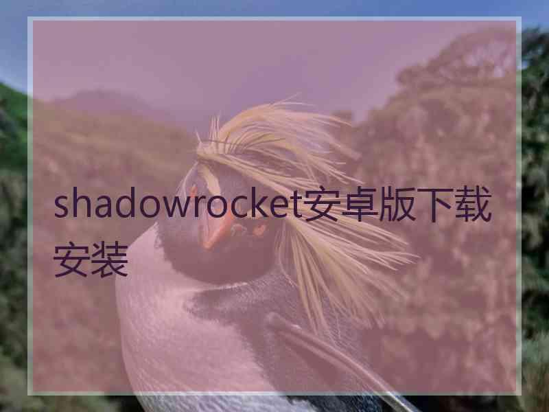 shadowrocket安卓版下载安装