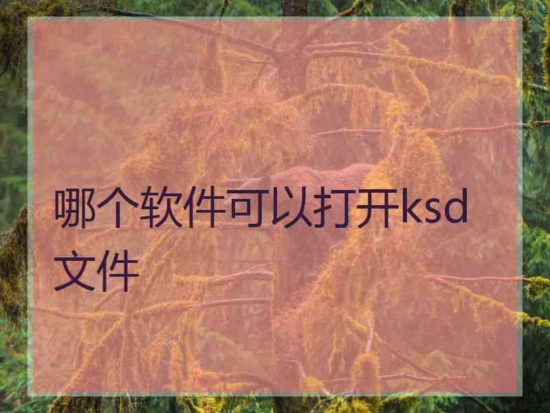 哪个软件可以打开ksd文件