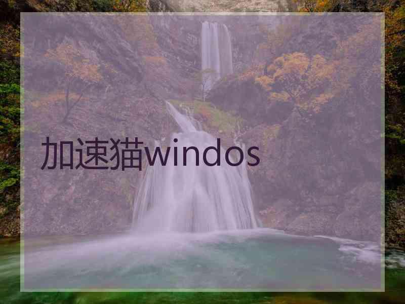 加速猫windos