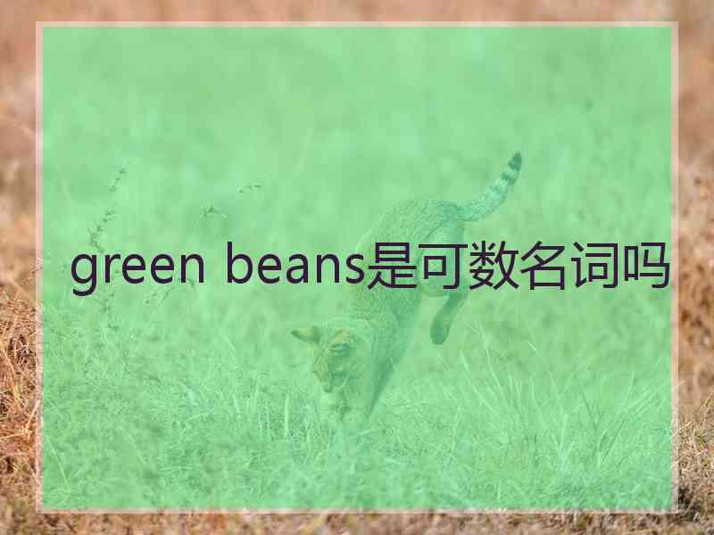 green beans是可数名词吗