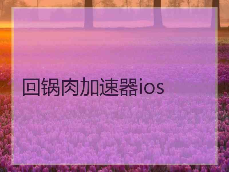 回锅肉加速器ios