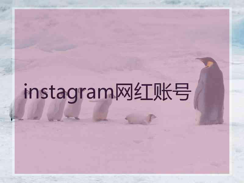 instagram网红账号