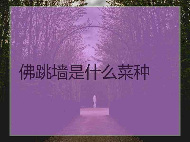 佛跳墙是什么菜种