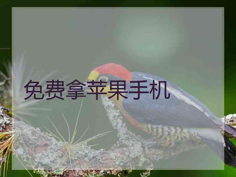 免费拿苹果手机