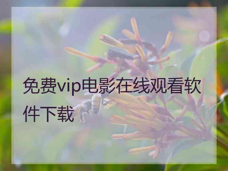 免费vip电影在线观看软件下载