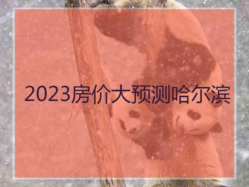 2023房价大预测哈尔滨