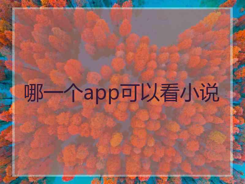 哪一个app可以看小说