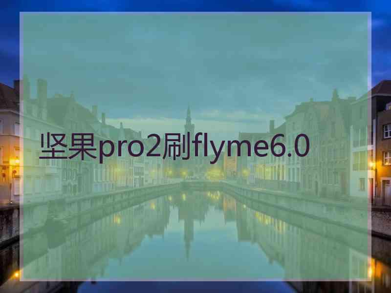 坚果pro2刷flyme6.0