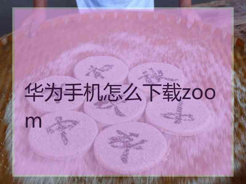 华为手机怎么下载zoom