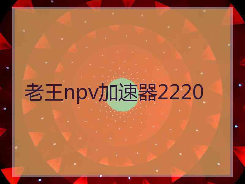 老王npv加速器2220