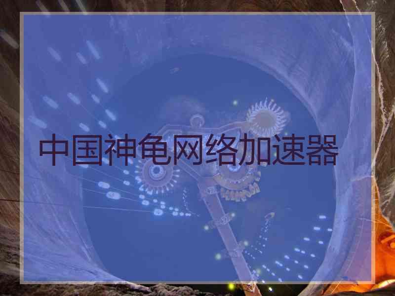 中国神龟网络加速器